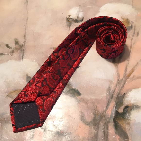 Silk paisley Tie - Picture 4 of 11
